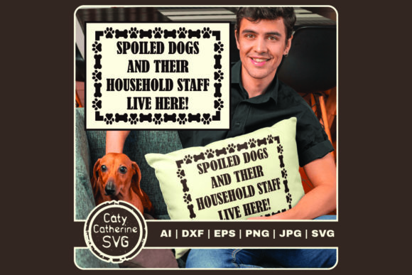Spoiled Dogs Their Staff Live Here: A Designer's Review